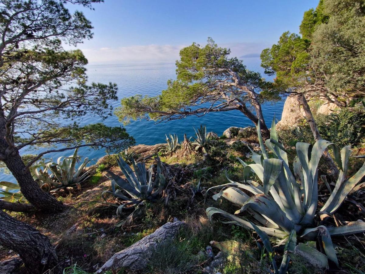 Apartment Villa Mirna Makarska Esterno foto
