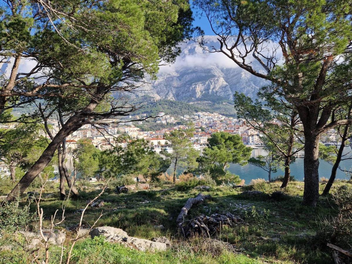 Apartment Villa Mirna Makarska Esterno foto