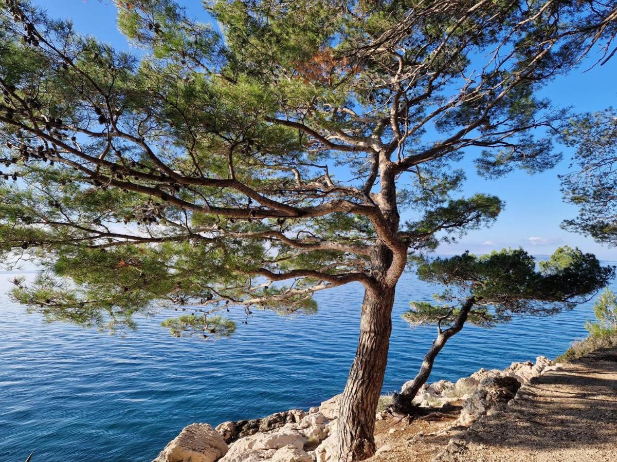 Apartment Villa Mirna Makarska Esterno foto
