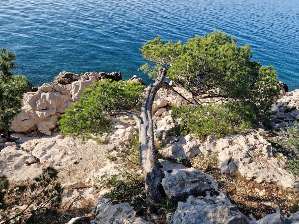 Apartment Villa Mirna Makarska Esterno foto