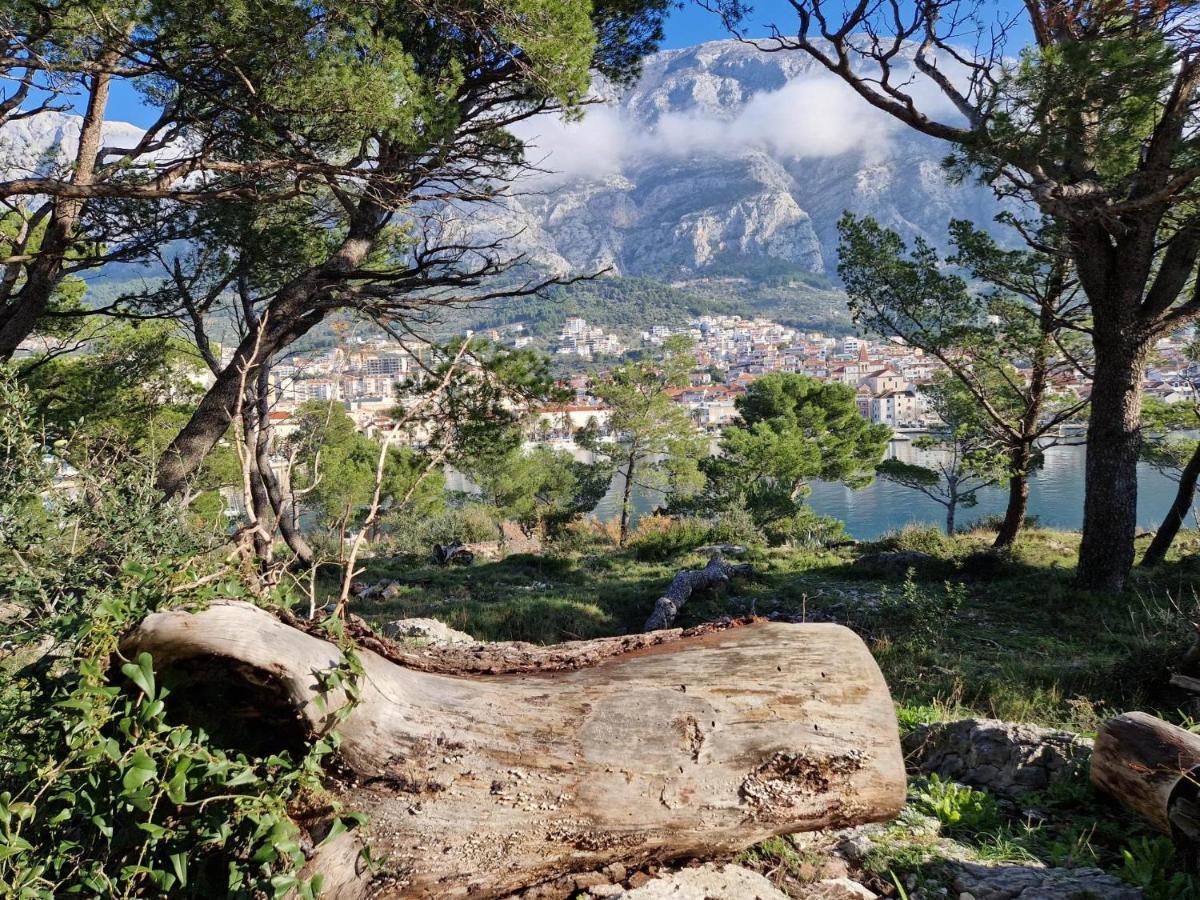 Apartment Villa Mirna Makarska Esterno foto